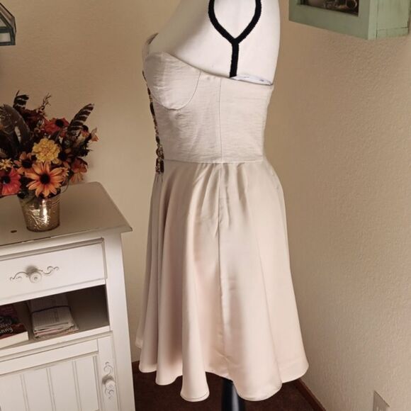 Ladakh Strapless Dress - Picture 6 of 12